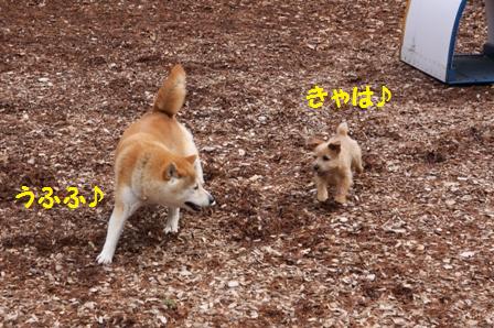 うふふ