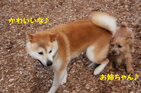 かわいい