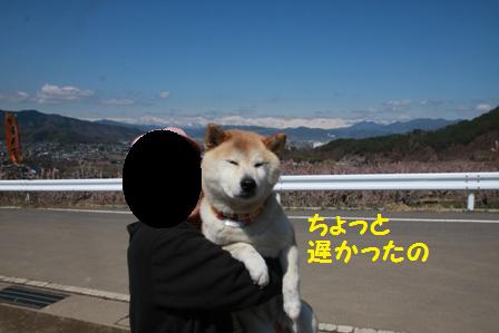 遅かった