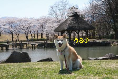 うふ♪