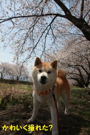 かわいく撮れた?