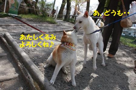 よろしくね
