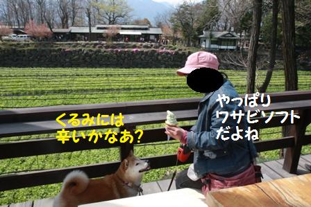 わさびソフト