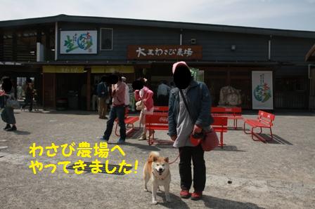 わさび農場