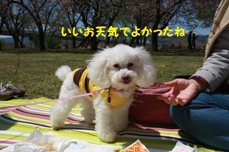 いい天気