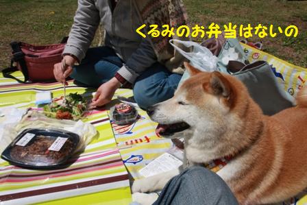お弁当