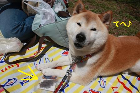 てへ