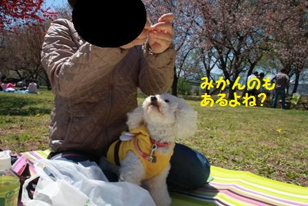 あるよね