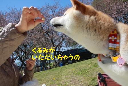 いただいちゃう