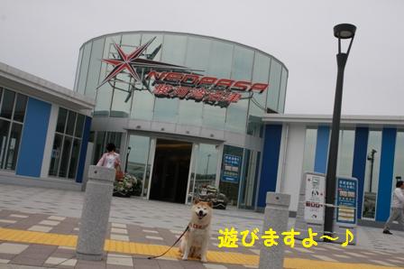 NEOPASA駿河湾沼津