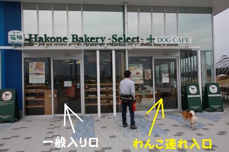 ドッグカフェ