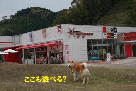 neopasa静岡