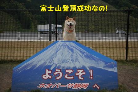 登頂成功