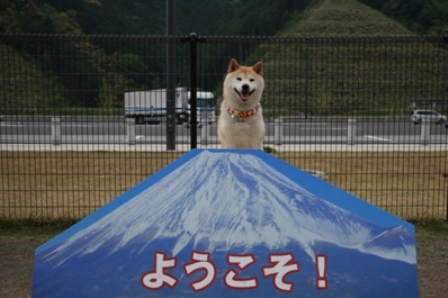 おでかけ