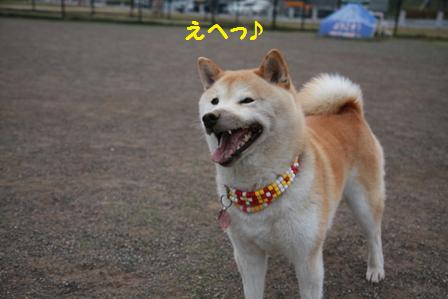 えへ
