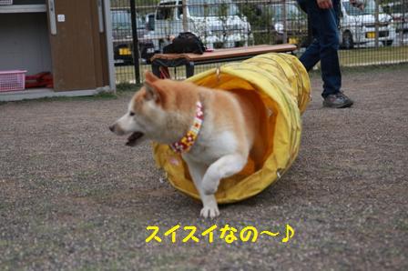 スイスイ