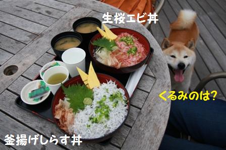 お昼ごはん