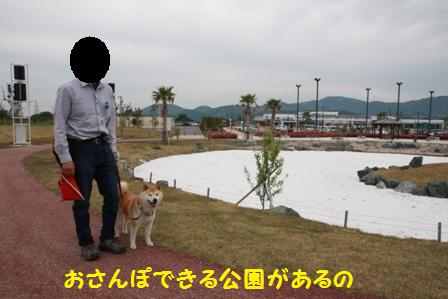 おさんぽ