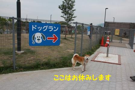 お休み