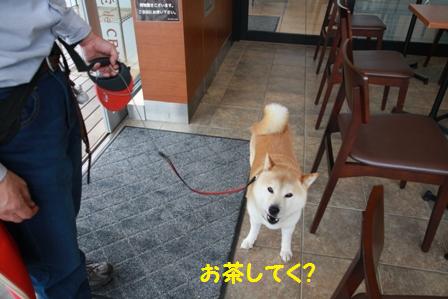 寄ってく?