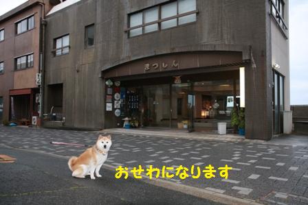 まつしん