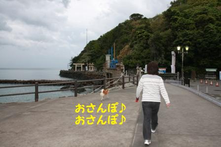 おさんぽ