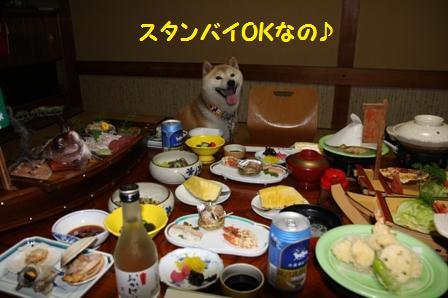 OKなの