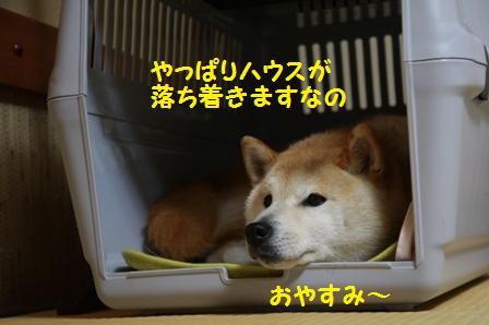おやすみ
