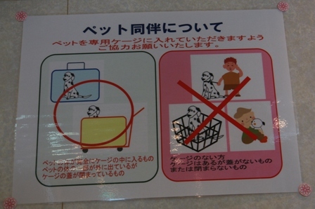 ペット同伴について