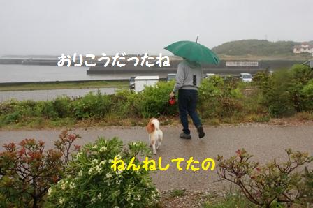 おりこうさん