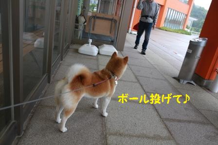 道の駅