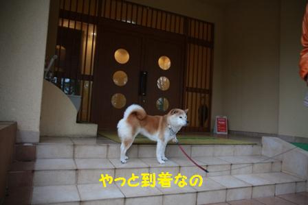やっと