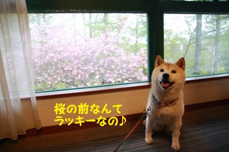 ラッキー