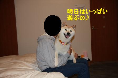 明日は遊ぶの