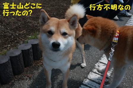 行方不明
