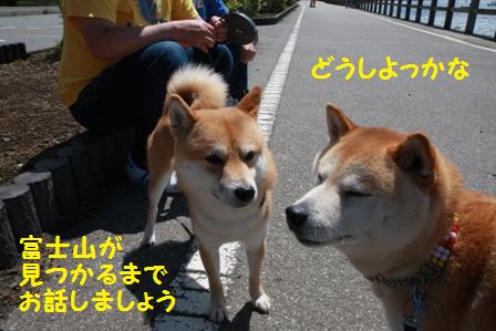 お話しましょう