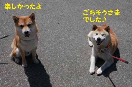 楽しかった