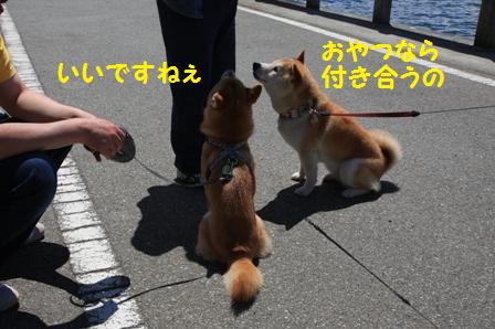 おやつタイム