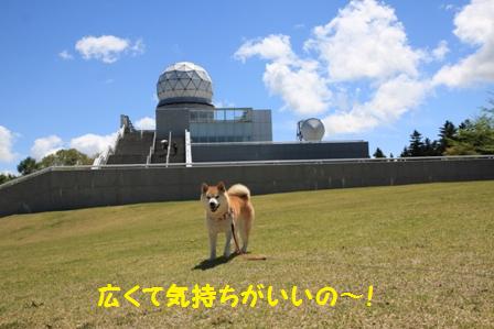 広い