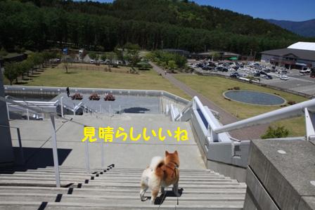 眺めいい