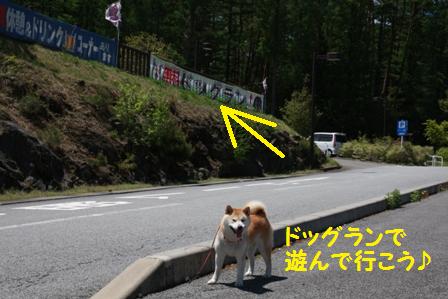 道の駅