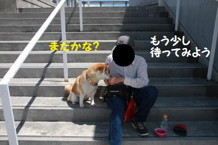 まだかな