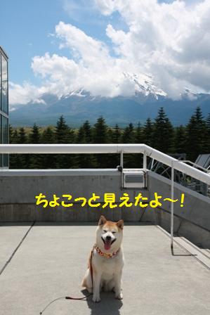 ちょこっと見えた