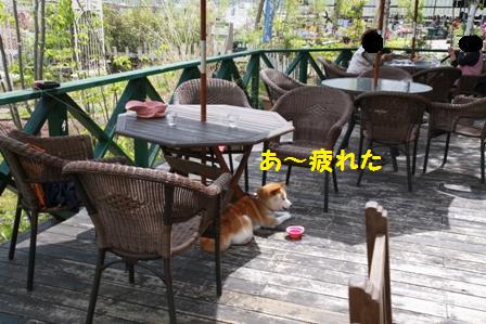 疲れた