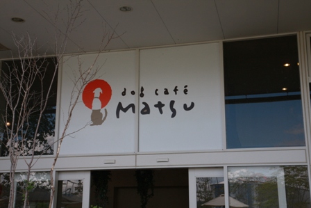 ドッグカフェ