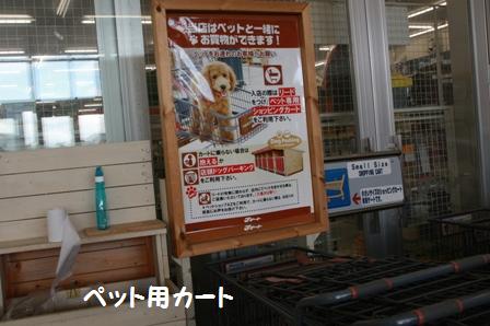 わんこ用カート