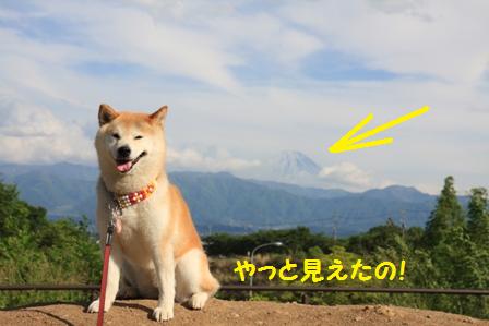 見えた
