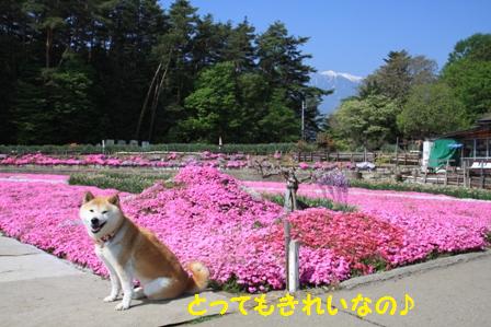 きれい