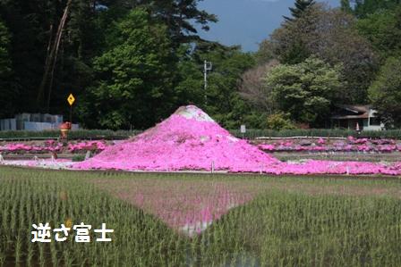 逆さ富士