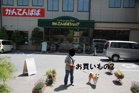 かんてんぱぱ